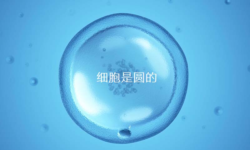 中至生物：大道至簡·品牌百萬級LOGO升級引爆品牌氣質(zhì)！