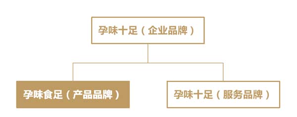 歐賽斯超級品牌引擎® 新冠軍商業(yè)實戰(zhàn)案例：孕味食足