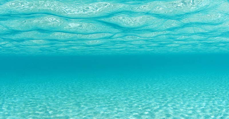 中至生物：大道至簡·品牌百萬級LOGO升級引爆品牌氣質(zhì)！