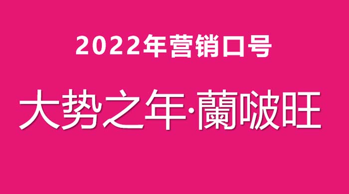 歐賽斯超級品牌引擎® 新冠軍商業(yè)實(shí)戰(zhàn)案例:蘭啵旺
