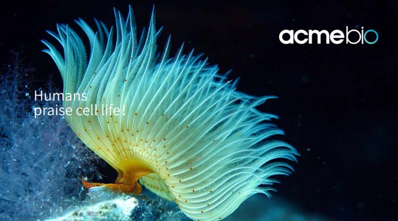 中至生物：大道至簡·品牌百萬級LOGO升級引爆品牌氣質(zhì)！