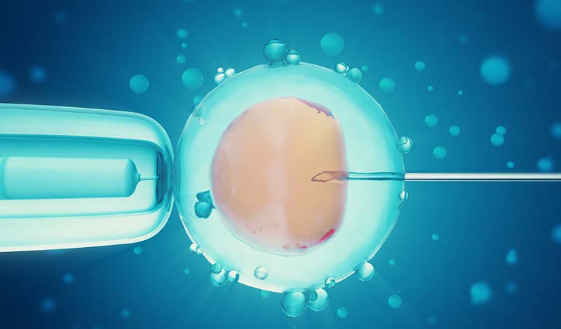 中至生物：大道至簡·品牌百萬級LOGO升級引爆品牌氣質(zhì)！