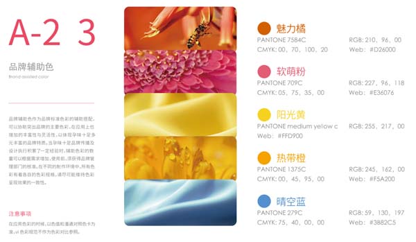 歐賽斯超級品牌引擎® 新冠軍商業(yè)實戰(zhàn)案例：孕味食足