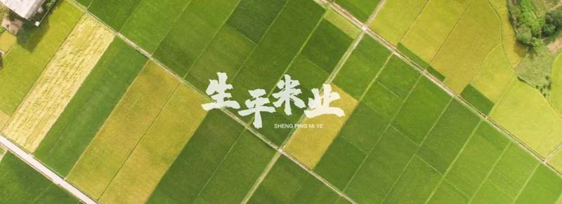 口碑引客，歐賽斯&生平米業(yè)開啟品牌戰(zhàn)略合作