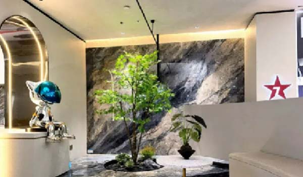 大將軍陶瓷全案：戰(zhàn)略落地一年，招商200+，金額破億元