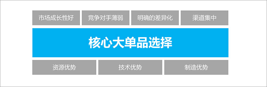 策劃市場(chǎng)突破大單品
