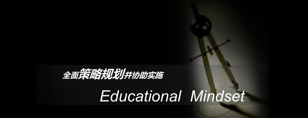 全面策略規(guī)劃并協(xié)助實施